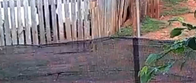 APÓSTOLES: Detienen a conocido delincuente acusado de robo e intento de abuso a una menor