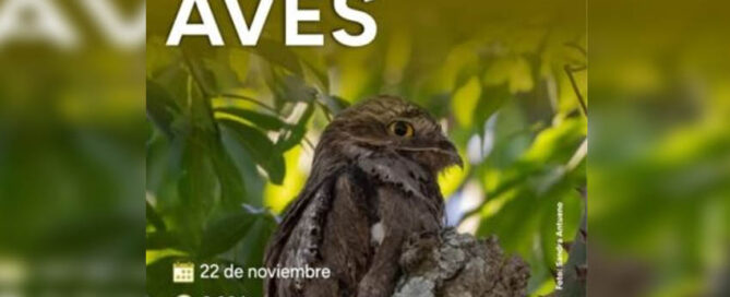 ELDORADO: Jornada de observación e intercambio de saberes sobre naturaleza y aves