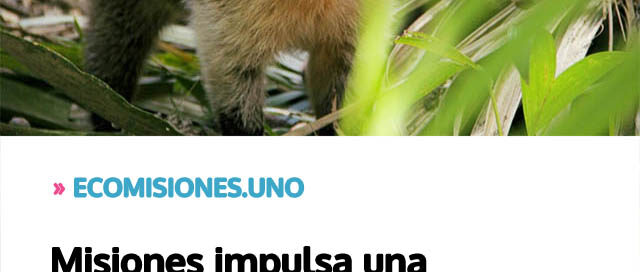 Misiones impulsa una actualización clave para el resguardo de la fauna silvestre