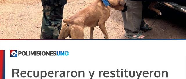 Recuperaron y restituyeron a sus dueños a dos perros que habían sido resguardados en Leandro N. Alem